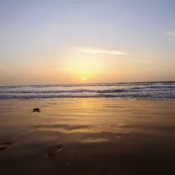 Kololi Beach - Kololi