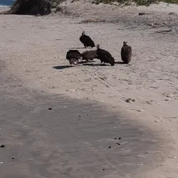 Kololi Beach - Kololi