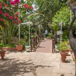 Senegambia Strip - Kololi