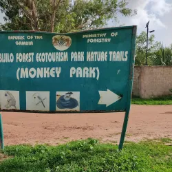 Bijilo Forest Park (Monkey Park) - Kotu