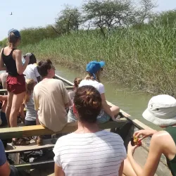 Gambia River Boat Tours - Kotu