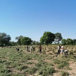 Gambia River Boat Tours - Kotu
