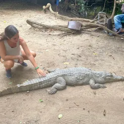 Kachikally Crocodile Pool - Kotu