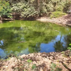 Kachikally Crocodile Pool - Kotu