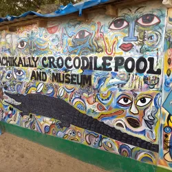 Kachikally Crocodile Pool - Kotu