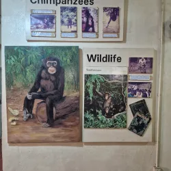 Tanji Village Museum - Kotu