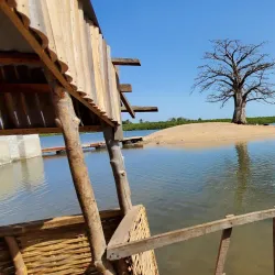 Atlantic Coast Beaches - Lamin