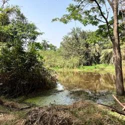 Bakau Botanical Gardens - Lamin