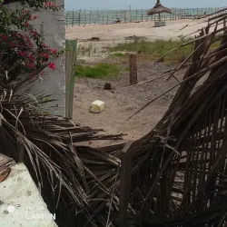 Tanji Fishing Village - Lamin