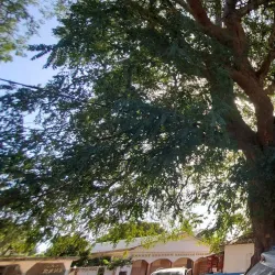 Kartong Village - Sabi