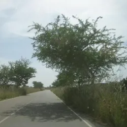 Kartong Village - Sabi