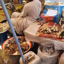 Bakau New Town Beach - Serekunda (Serrekunda)