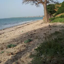 Tanji Fishing Village - Serekunda (Serrekunda)