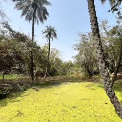 Bakau Botanical Gardens - Sukuta