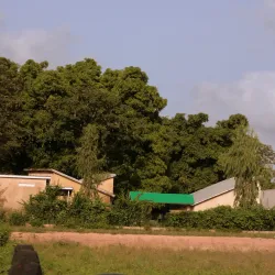 Gambia River - Sukuta