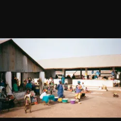 Sukuta Market - Sukuta