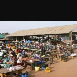 Sukuta Market - Sukuta