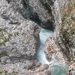 Abasha River - Abasha