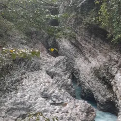 Abasha River - Abasha