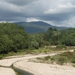 Abasha River - Abasha