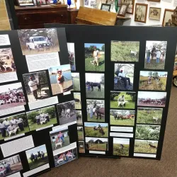 Local Historical Museum - Abasha