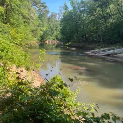 Nature Trails Around Abasha - Abasha