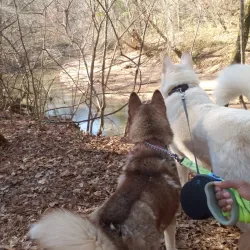 Nature Trails Around Abasha - Abasha