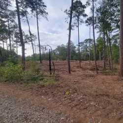 Nature Trails Around Abasha - Abasha