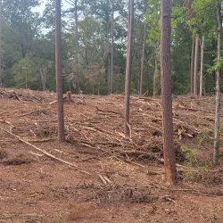 Nature Trails Around Abasha - Abasha