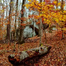 Nature Trails Around Abasha - Abasha