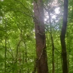 Nature Trails Around Abasha - Abasha