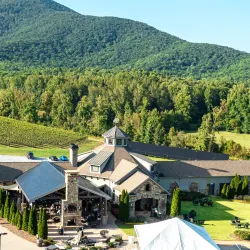 Nearby Vineyards - Abasha