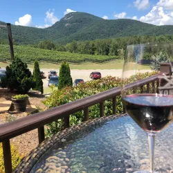 Nearby Vineyards - Abasha