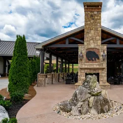 Nearby Vineyards - Abasha