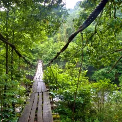 Mount Mtirala Hiking Trails - Abastumani