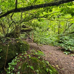 Mount Mtirala Hiking Trails - Abastumani