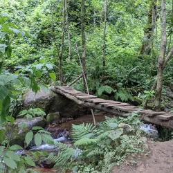 Mount Mtirala Hiking Trails - Abastumani