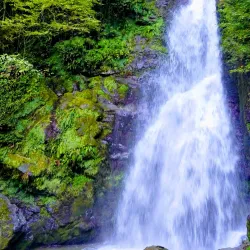 Mount Mtirala Hiking Trails - Abastumani