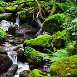 Mount Mtirala Hiking Trails - Abastumani