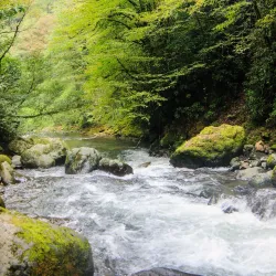 Mount Mtirala Hiking Trails - Abastumani