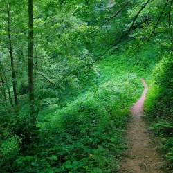 Mount Mtirala Hiking Trails - Abastumani