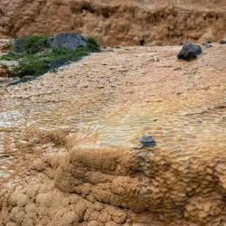 Tetri Tskaro Mineral Water Springs - Abastumani