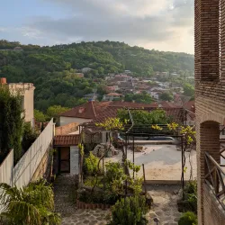 Local Wine Tasting Experiences - Adigeni