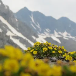 Mount Javakheti - Adigeni