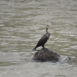 Mtkvari River Gorge - Adigeni