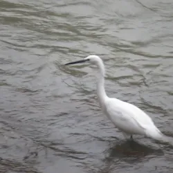 Mtkvari River Gorge - Adigeni