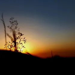 Tskhratskaro Pass - Akhalgori