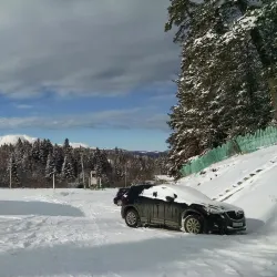 Bakuriani Botanical Garden - Bakuriani