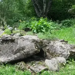 Bakuriani Botanical Garden - Bakuriani