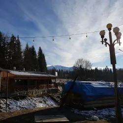 Bakuriani Botanical Garden - Bakuriani